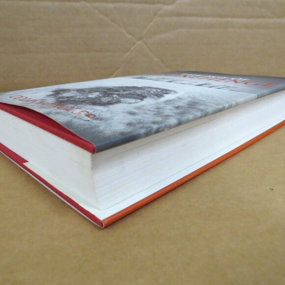 The Age of Stonehenge Colin Burgess Illustrated 2003 HCDJ Prehistoric England - Picture 4 of 10